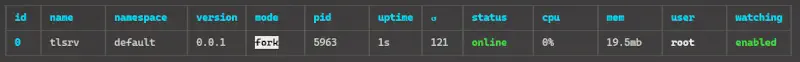 NPM Node.js server databáza